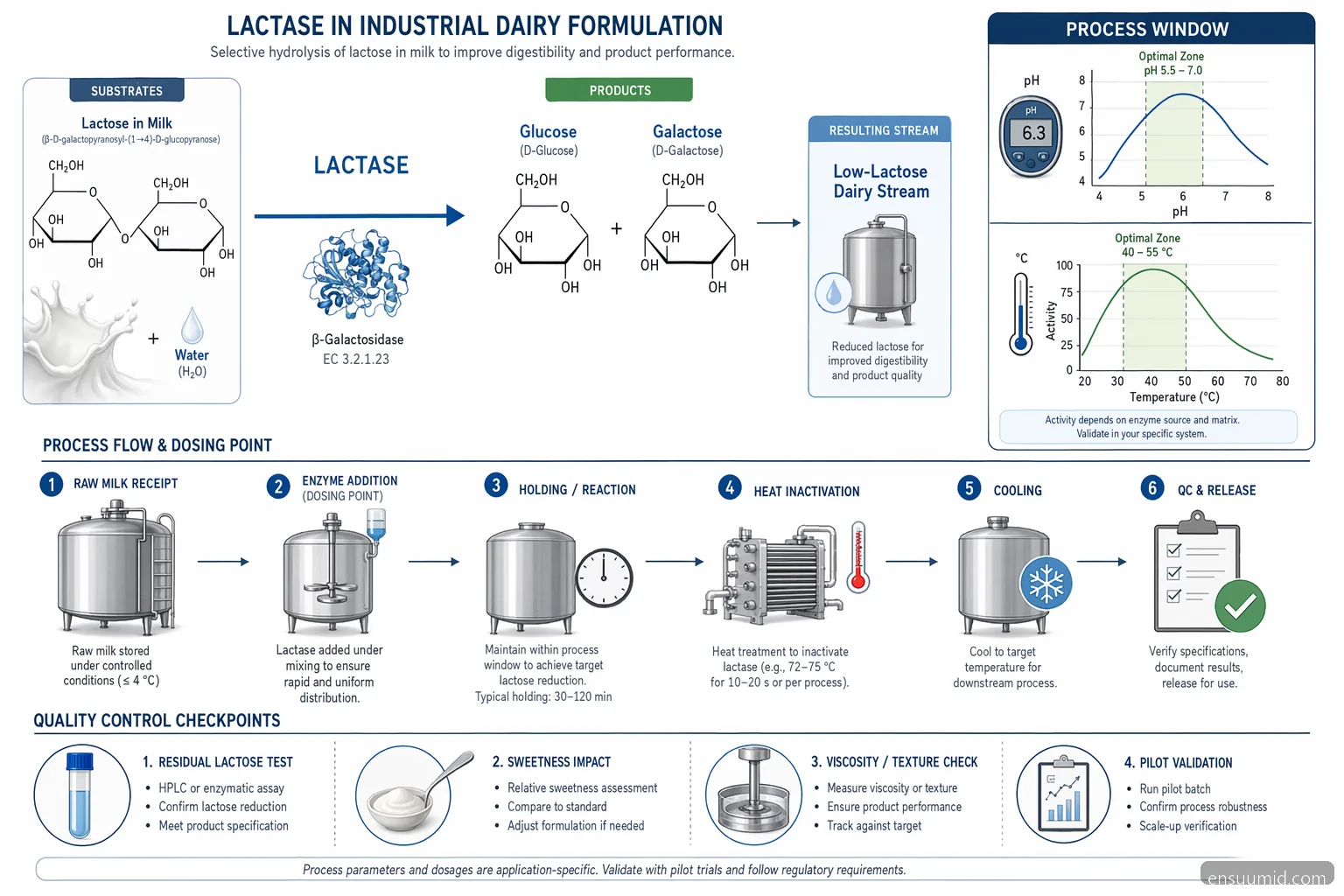 enzim industri supplier for dairy lactase mechanism, mapping lactose hydrolysis, process window, and inactivation