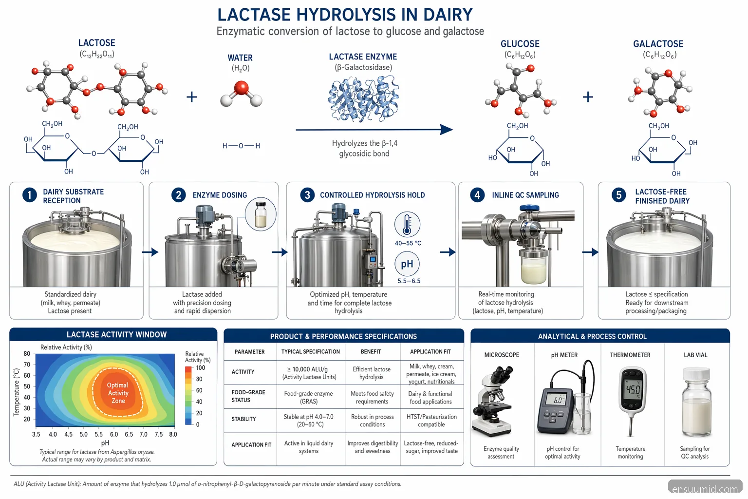 enzim laktase supplier for dairy lactose-free hydrolysis diagram showing lactose split into glucose and galactose with pH controls