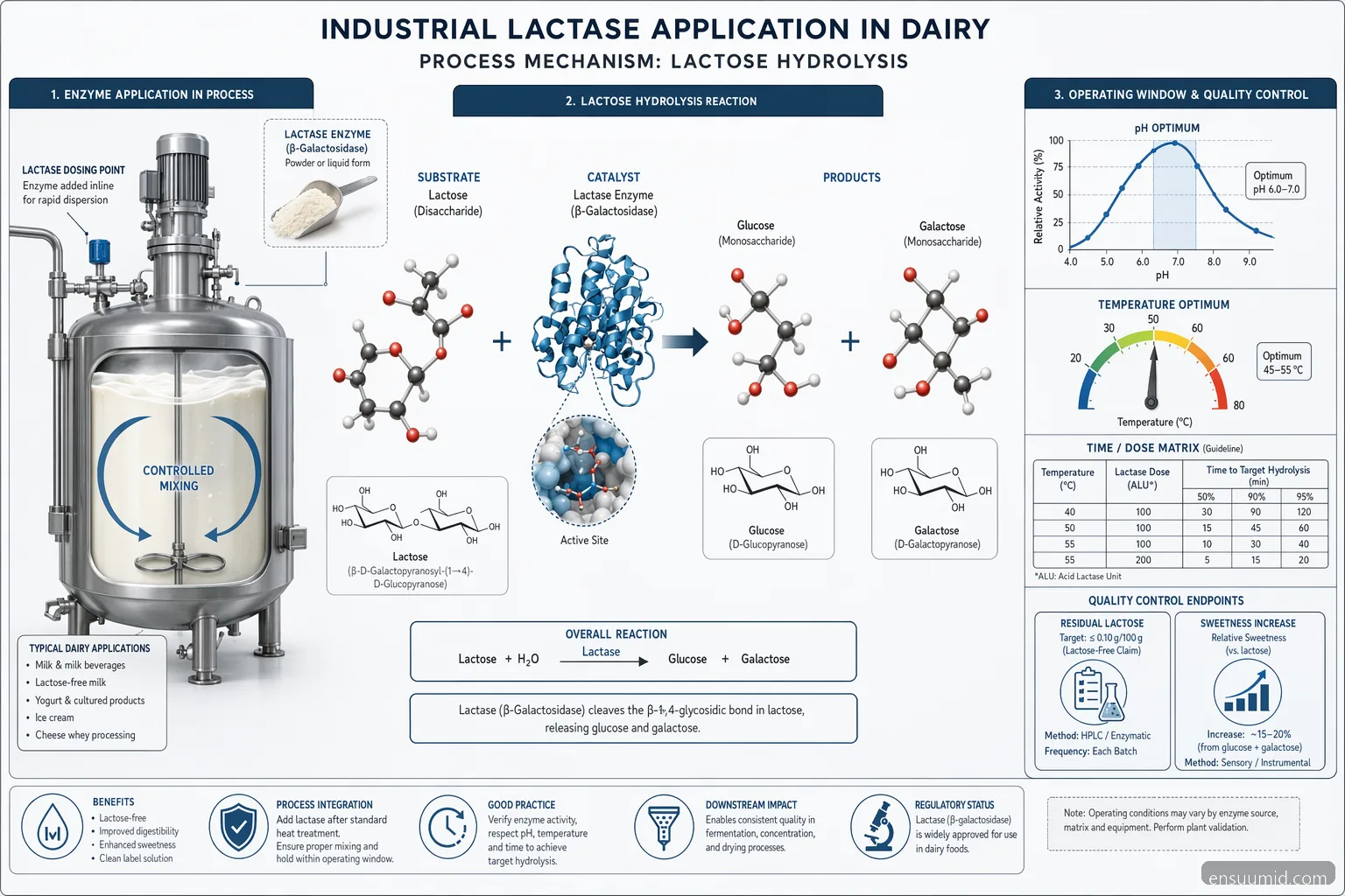 industrial enzim laktase dairy process, showing lactose hydrolysis, pH-temperature controls, and QC endpoints